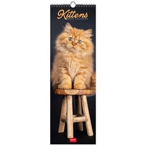 CALENDARI 2023 PARET KITTENS | 8054117622503 | Llibreria Online de Tremp