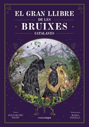 EL GRAN LLIBRE DE LES BRUIXES CATALANES | 9788418857751 | PRATS, JOAN DE DÉU/PADILLA CLIMENT, MARIA | Llibreria Online de Tremp