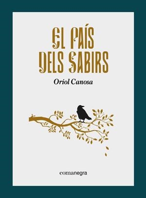 EL PAÍS DELS SABIRS | 9788418857799 | CANOSA, ORIOL | Llibreria Online de Tremp