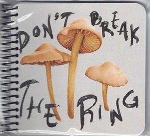 LLIBRETA CAMA-SEC | ABI11 | ABIGUEIL LEDESMA