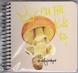 LLIBRETA OU DE REIG | ABI12 | ABIGUEIL LEDESMA