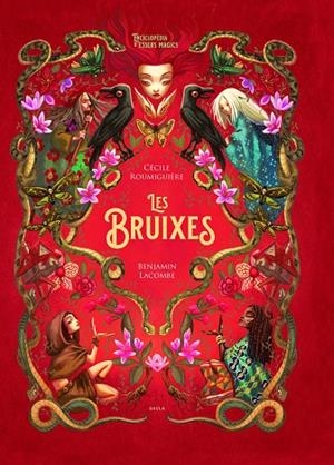 LES BRUIXES | 9788447948987 | ROUMIGUIÈRE, CÉCILE | Llibreria Online de Tremp