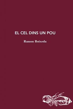 EL CEL DINS UN POU | 9788412577464 | BOIXEDA, RAMON | Llibreria Online de Tremp