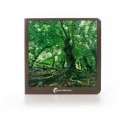 BOSQUE 34 | 9788412171020