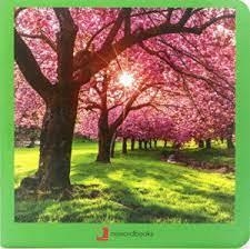 PRIMAVERA 31 | 9788412171006