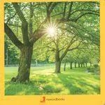 VERANO 32 | 9788412171013