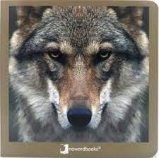 ANIMALES SALVAJES 02 12 | 9788412171051