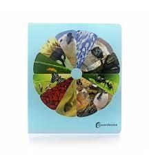 CICLOS DE LA VIDA  GRAN FORMATO | 9788412344530