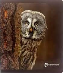 ANIMALES DEL BOSQUE  GRAN FORMATO | 9788412344578