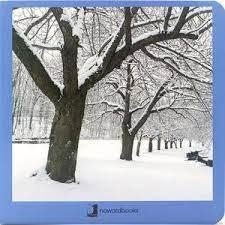 INVIERNO 33 | 9788494810398