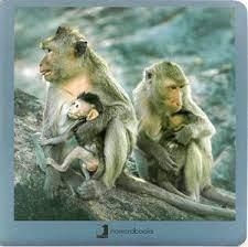 ANIMALES EN FAMILIA 02 28 | 9788494810367