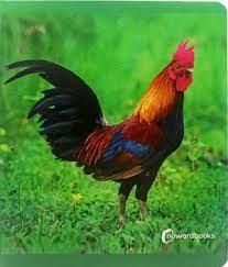 ANIMALS DE GRANJA | 9788412344547