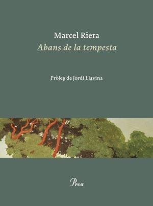 ABANS DE LA TEMPESTA | 9788475889900 | RIERA BOU, MARCEL | Llibreria Online de Tremp