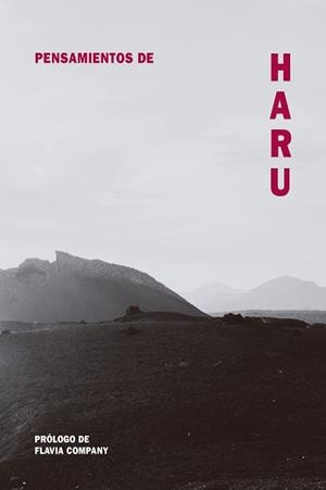 PENSAMIENTOS DE HARU | 9788418223495 | COMPANY, FLAVIA | Llibreria Online de Tremp