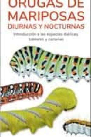 ORUGAS DE MARIPOSAS GUIAS DESPLEGABLES TUNDRA | 9788418458613