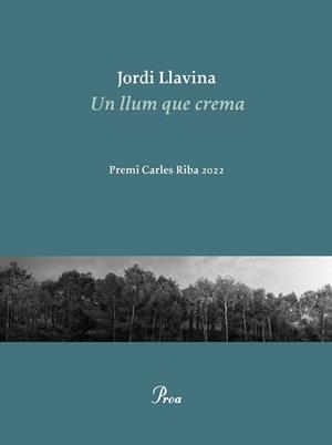 UN LLUM QUE CREMA | 9788475889979 | LLAVINA, JORDI | Llibreria Online de Tremp