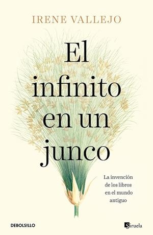 EL INFINITO EN UN JUNCO | 9788466358293 | VALLEJO, IRENE | Llibreria Online de Tremp