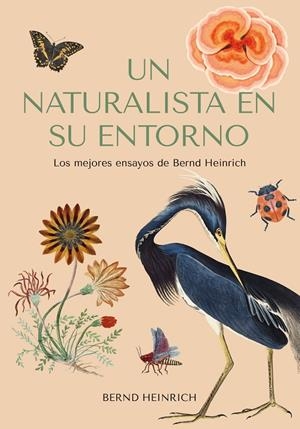 UN NATURALISTA EN SU ENTORNO | 9788412618488 | HEINRICH, BERND | Llibreria Online de Tremp