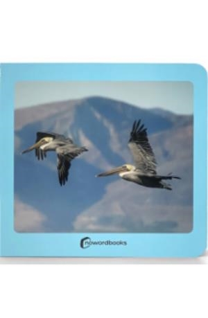 AVES 48 | 9788412534498