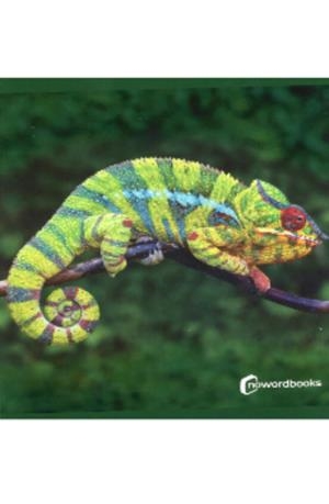 ANIMALES DE LA SELVA | 9788412683615