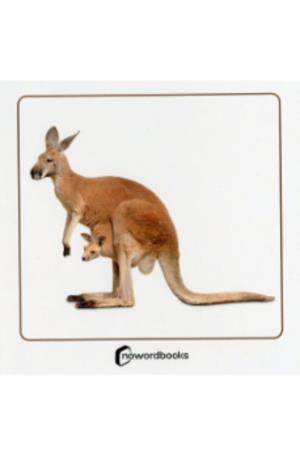 ANIMALES SALVAJES Y SUS CRIAS | 9788412683639