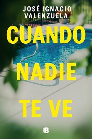 CUANDO NADIE TE VE | 9788466675192 | VALENZUELA, JOSÉ IGNACIO | Llibreria Online de Tremp