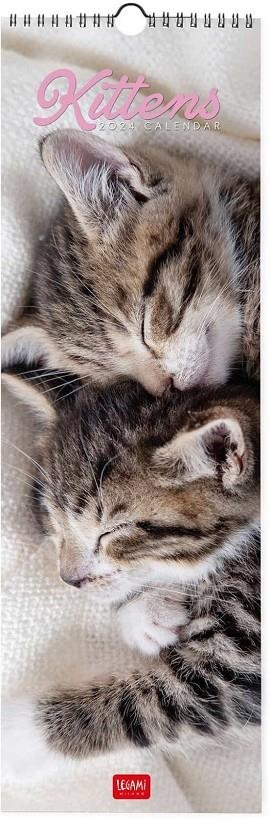 CALENDARI KITTENS 2024 | 8051128759365 | Llibreria Online de Tremp