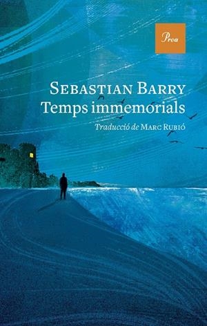TEMPS IMMEMORIALS | 9788419657305 | BARRY, SEBASTIAN | Llibreria Online de Tremp