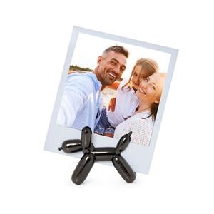 PORTA FOTOGRAFIES MAGNÈTIC GOS | 8059174839765