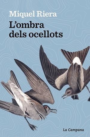 L’OMBRA DELS OCELLOTS | 9788419245175 | RIERA, MIQUEL | Llibreria Online de Tremp