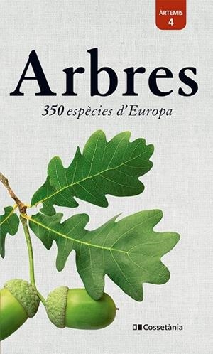 ARBRES | 9788413563206 | SPOHN, MARGOT/SPOHN, ROLAND | Llibreria Online de Tremp