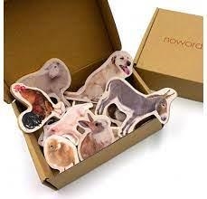 MAGNETICS GRANJA | 0760412891022