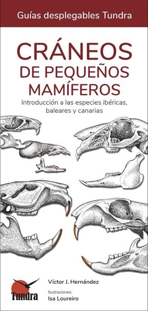 CRANEOS DE PEQUEÑOS MAMÍFEROS | 9788419624185 | VÍCTOR J. HERNÁNDEZ