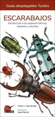 ESCARABAJOS | 9788418458583 | VÍCTOR J. HERNÁNDEZ