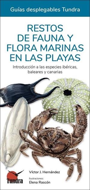 RESTOS DE FAUNA Y FLORA MARINAS EN LAS PLAYAS | 9788418458422 | VÍCTOR J. HERNÁNDEZ