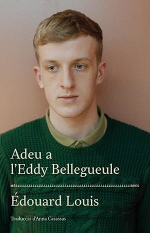 ADEU A L'EDDY BELLEGUEULE | 9788417353544 | ÉDOUARD LOUIS | Llibreria Online de Tremp