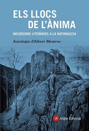 ELS LLOCS DE L'ÀNIMA | 9788410112179 | MESTRES, ALBERT | Llibreria Online de Tremp