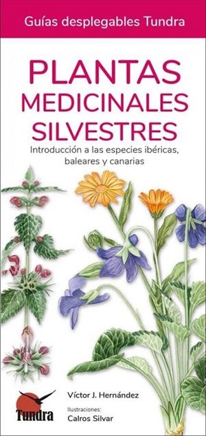 PLANTAS MEDICINALES SILVESTRES | 9788418458538 | VICTOR HERNANDEZ
