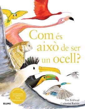 COM ÉS AIXÒ DE SER UN OCELL? | 9788410048102 | BIRKHEAD, TIM/RAYNER, CATHERINE | Llibreria Online de Tremp