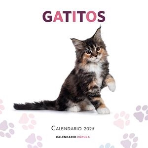 CALENDARIO GATITOS 2025 | 9788448041656 | AA. VV. | Llibreria Online de Tremp
