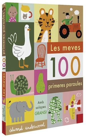LES MEVES 100 PRIMERES PARAULES | 9788491015932 | Llibreria Online de Tremp
