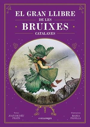 EL GRAN LLIBRE DE LES BRUIXES CATALANES | 9788410161337 | PRATS, JOAN DE DÉU/PADILLA, MARIA | Llibreria Online de Tremp