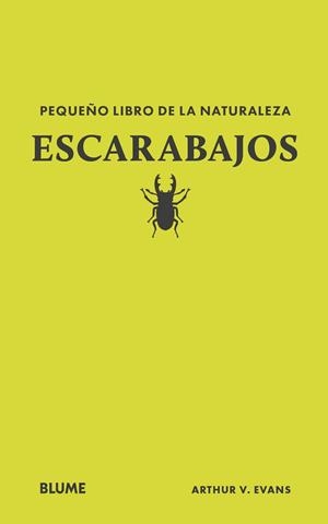 PEQUEÑO LIBRO DE LA NATURALEZA. ESCARABAJOS | 9788410268739 | EVANS, ARTHUR V | Llibreria Online de Tremp