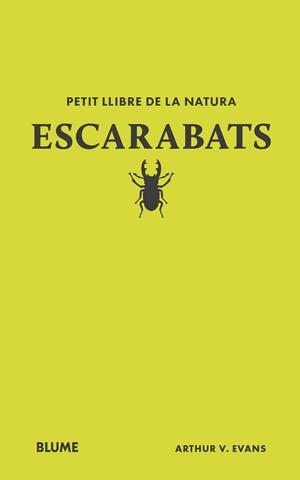 PETIT LLIBRE DE LA NATURA. ESCARABATS | 9788410268746 | EVANS, ARTHUR V | Llibreria Online de Tremp