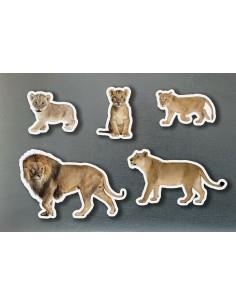 MAGNETICS FAMILIES LLEONS | 0760412890971 | Llibreria Online de Tremp