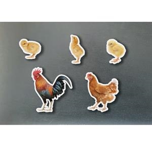 MAGNETICS FAMILIES GALLINES | 0760412890964 | Llibreria Online de Tremp