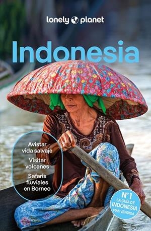 INDONESIA 6 | 9788408291190 | D'ARCY, JAYNE/EIMER, DAVID/HARDING, PAUL/JOHANSON, MARK/LEE, JASON/ST.LOUIS, REGIS/BERKMOES, RYAN VE | Llibreria Online de Tremp