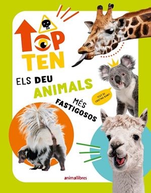 TOP TEN ELS DEU ANIMALS MÉS FASTIGOSOS | 9788410302273 | CRISTINA BANFI | Llibreria Online de Tremp