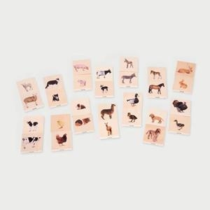 CONJUNT 28 FITXES ANIMALS DOMÈSTICS | 5060138829114 | Llibreria Online de Tremp