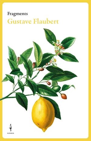 FRAGMENTS GUSTAVE FLAUBERT | 9788409684007 | FLAUBERT, GUSTAVE | Llibreria Online de Tremp